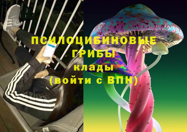 соль курить ск Верея